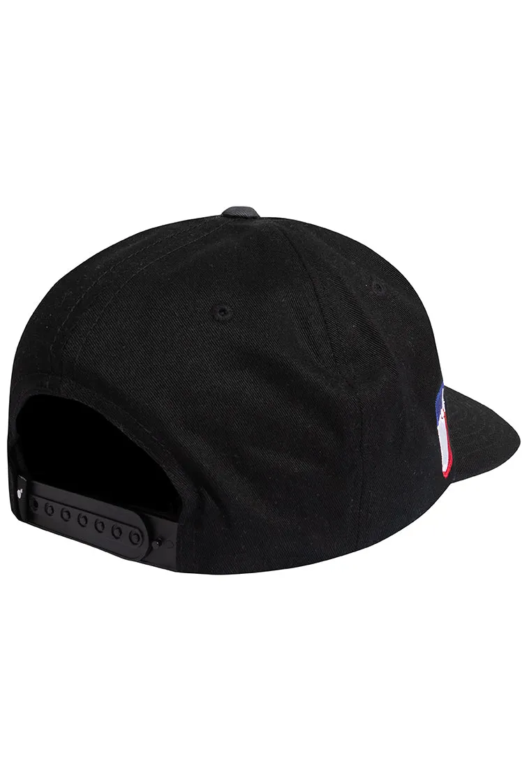 Team Snapback