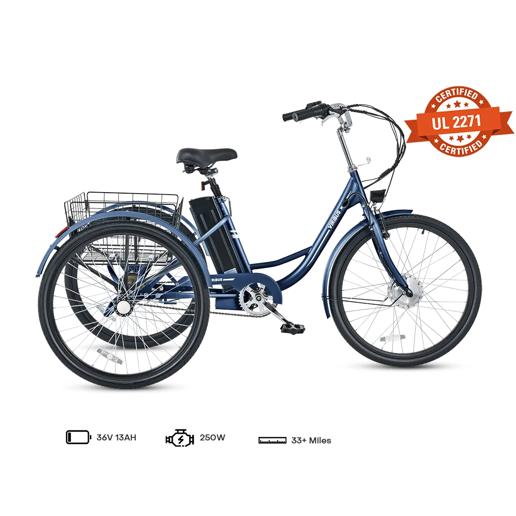 Viribus TG1 Electric Tricycle