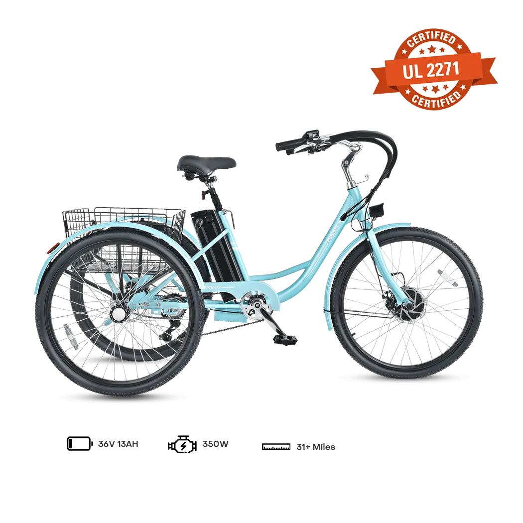 Viribus TG1 Electric Tricycle