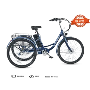 Viribus TG1 Electric Tricycle