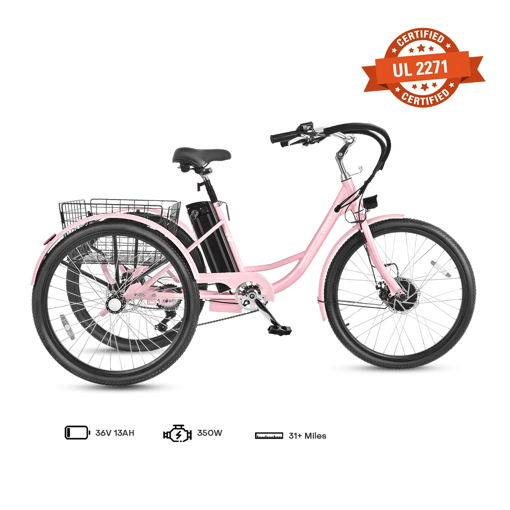 Viribus TG1 Electric Tricycle
