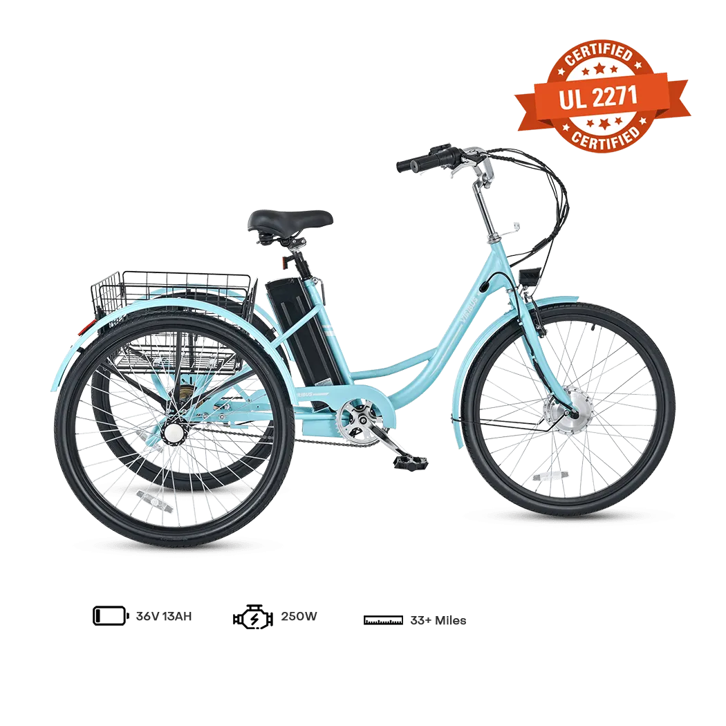 Viribus TG1 Electric Tricycle