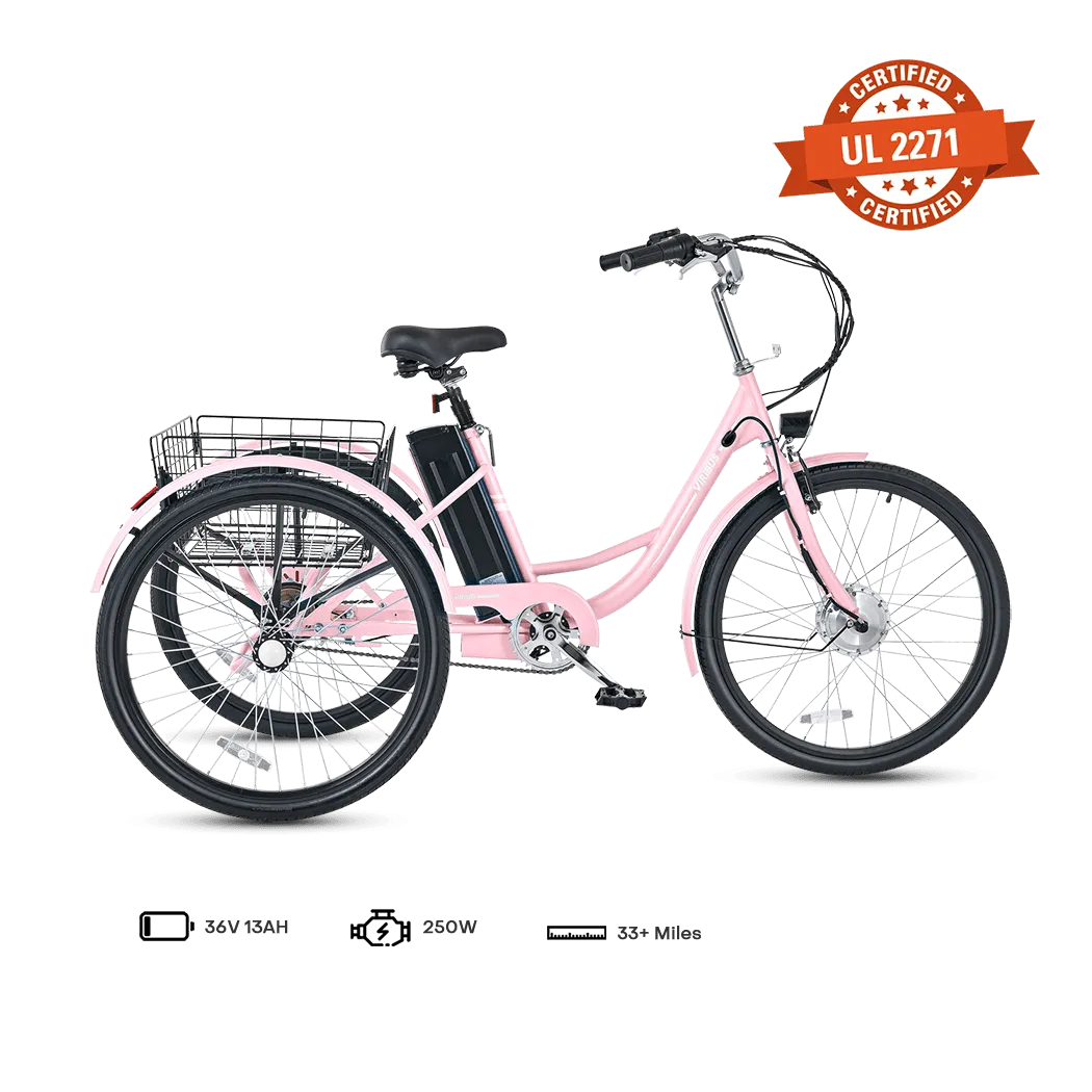 Viribus TG1 Electric Tricycle