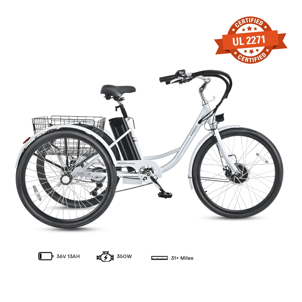 Viribus TG1 Electric Tricycle