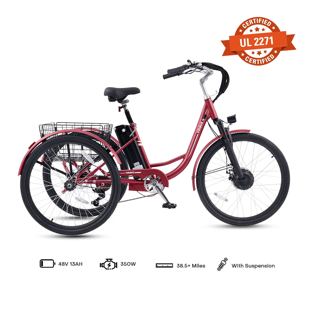 Viribus TG1 Electric Tricycle