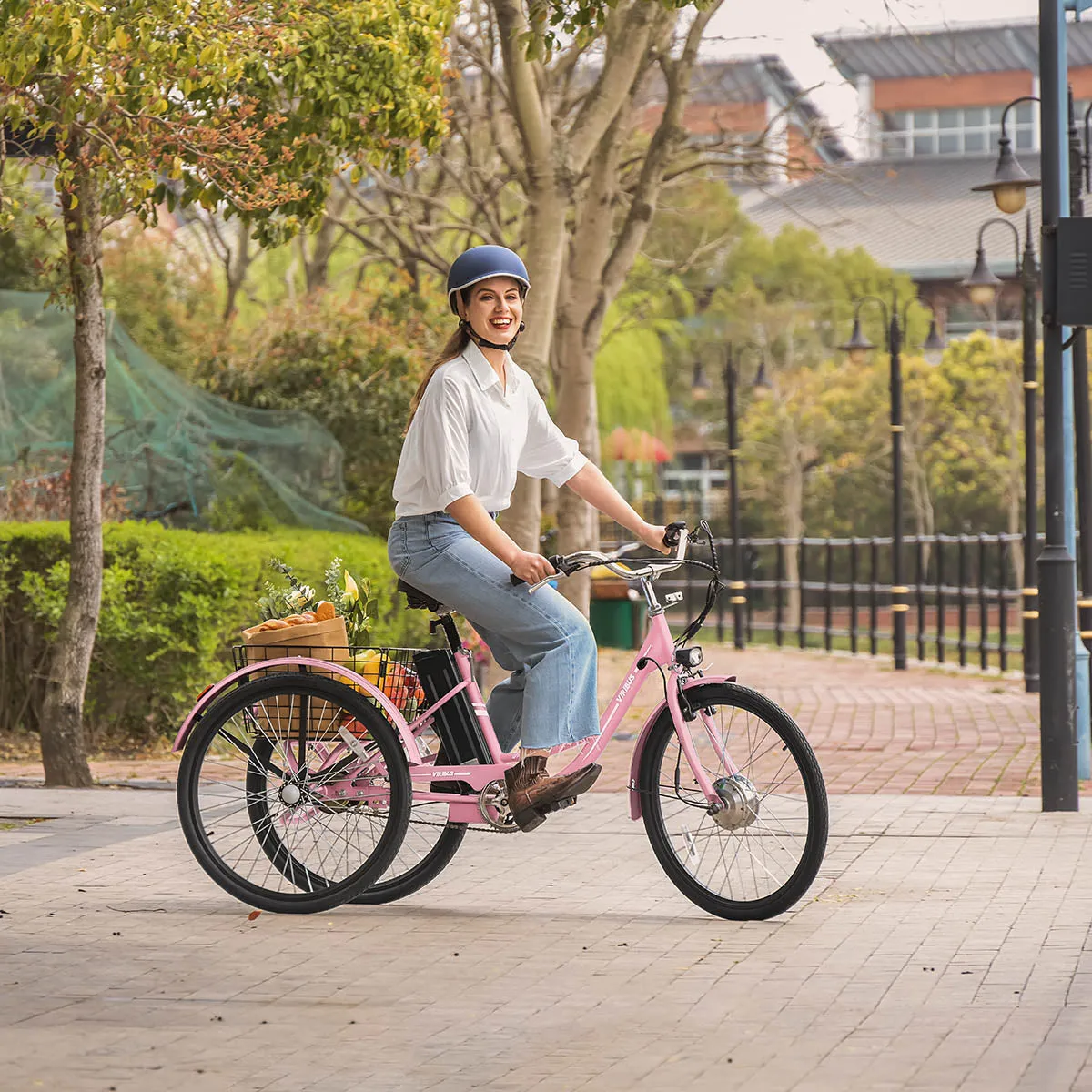 Viribus TG1 Electric Tricycle