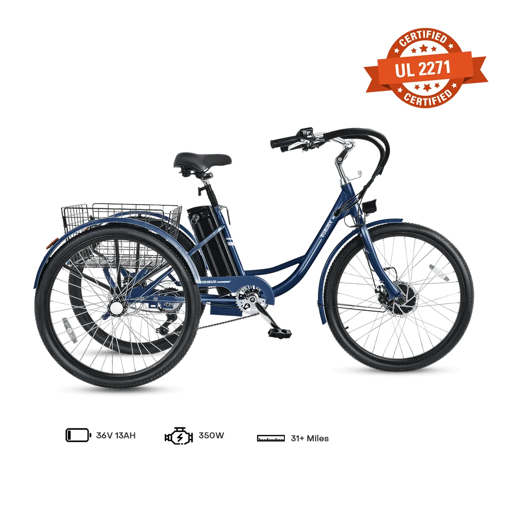 Viribus TG1 Electric Tricycle