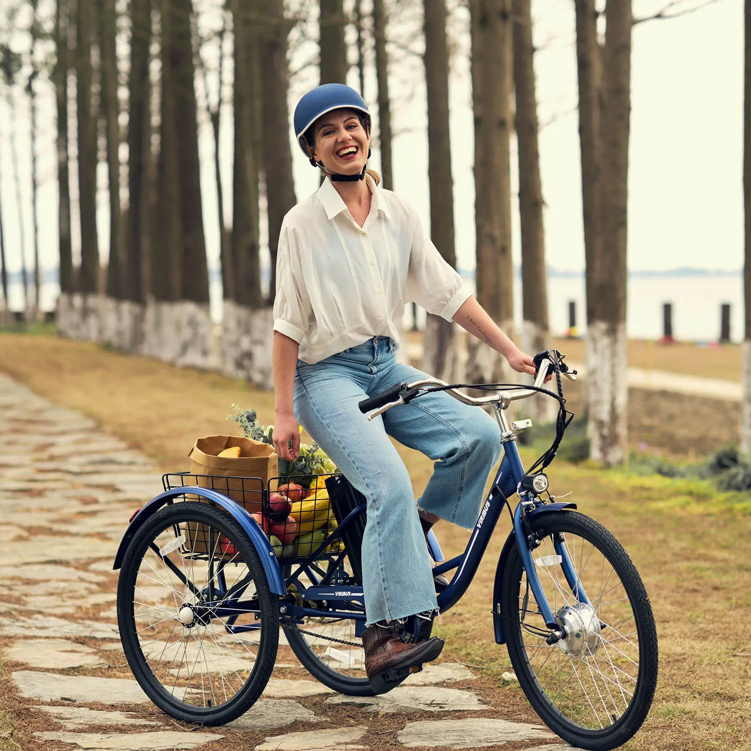 Viribus TG1 Electric Tricycle