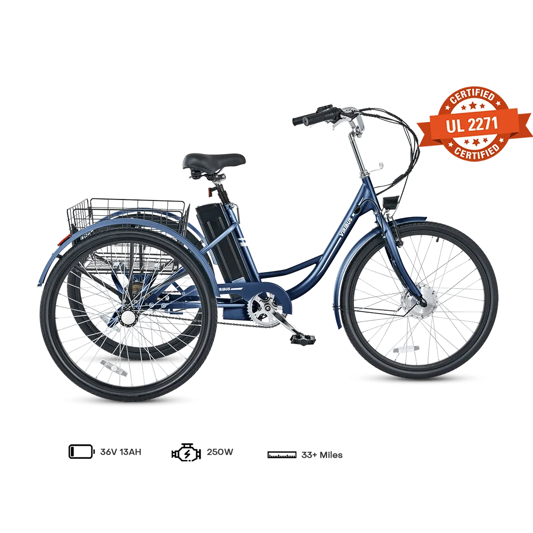 Viribus TG1 Electric Tricycle
