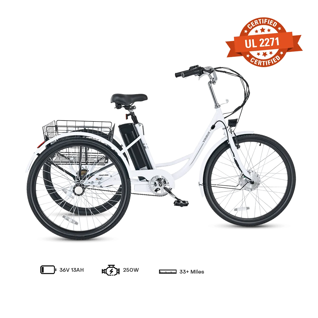 Viribus TG1 Electric Tricycle